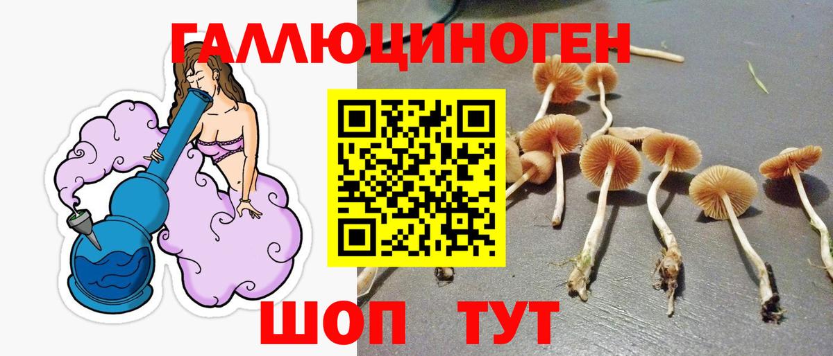 Псилоцибиновые грибы Magic Shrooms  Вход с VPN  Нижнекамск 